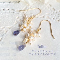 白妙◆バイカラーフローライト×アイオライトピアス✧14kgf 白妙様専用◇バイカラーフローライト×アイオライトピアス✧14kgf