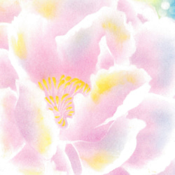 パステル画 牡丹『瞑想』  お部屋を彩るパステルアートポスターです 4枚目の画像