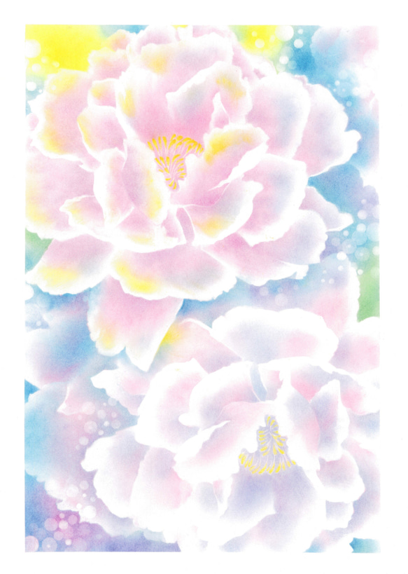 パステル画 牡丹『瞑想』  お部屋を彩るパステルアートポスターです 3枚目の画像
