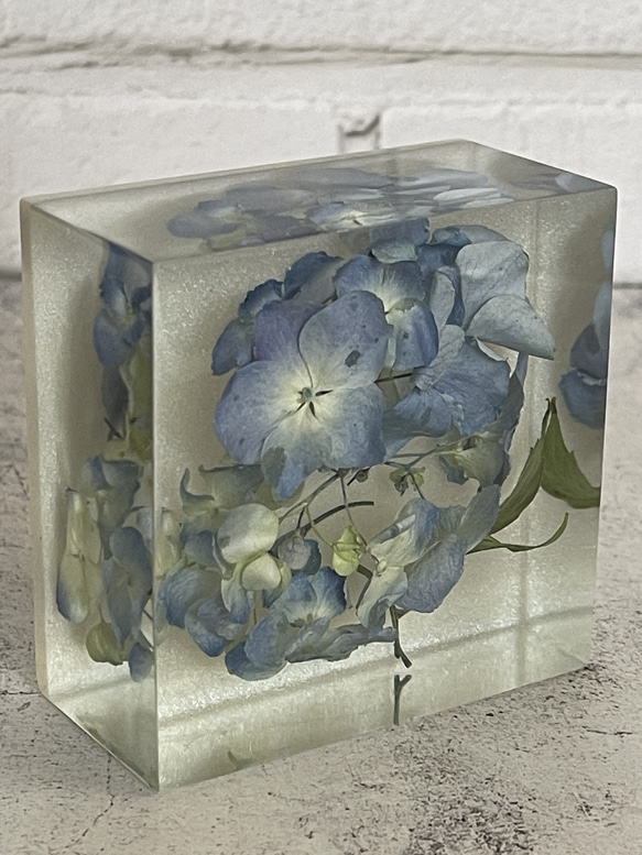 本物の小さな紫陽花/レジンフラワーアート/ボタニカルインテリア/植物標本/194g 5枚目の画像