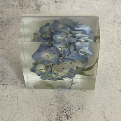 本物の小さな紫陽花/レジンフラワーアート/ボタニカルインテリア/植物標本/194g 6枚目の画像