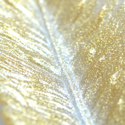 羽根の皿[インテリアトレイ]ゴールド 6枚目の画像