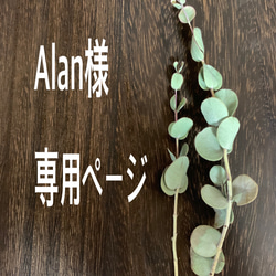 Alan様専用ページ 1枚目の画像