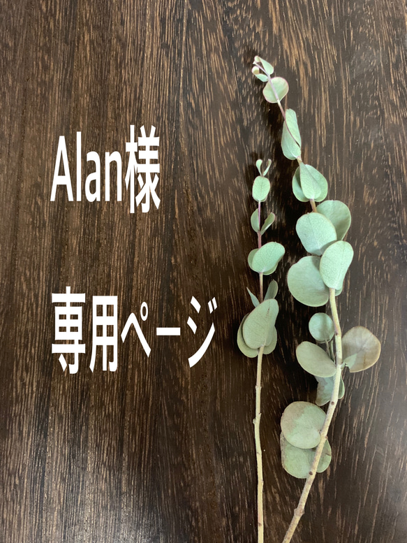 Alan様専用ページ 1枚目の画像