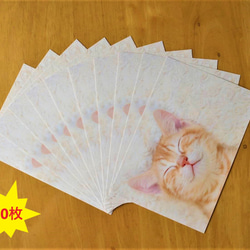 ポストカード「スヤスヤネコ」10枚セット+おまけ 4枚目の画像