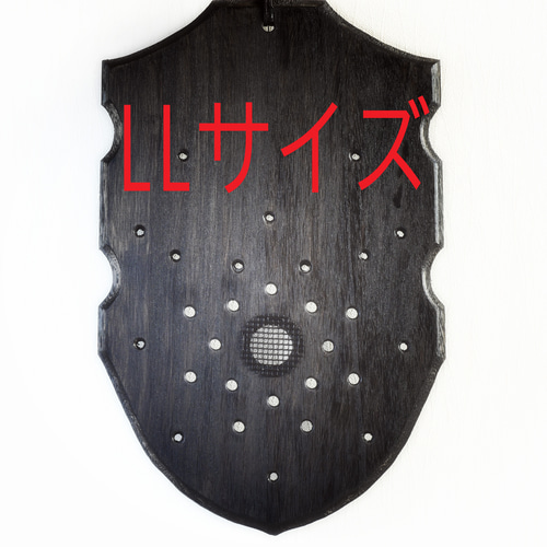 再入荷＊送料無料❣特大⭕️コウモリラン ビカクシダ⭕️着生板