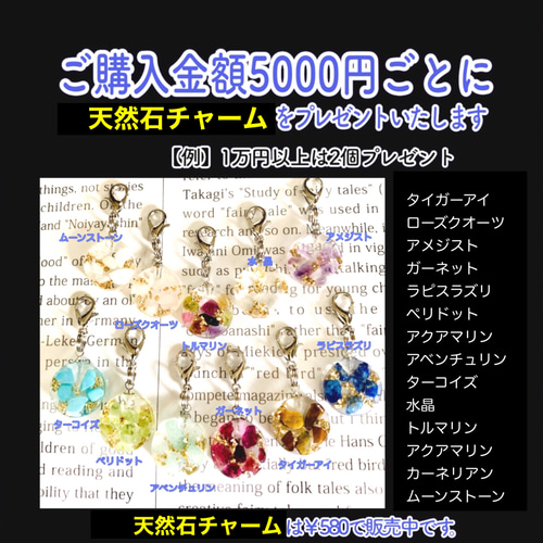 白蛇抜け殻入り＊プレミアムオルゴナイト＊昇り龍 その他