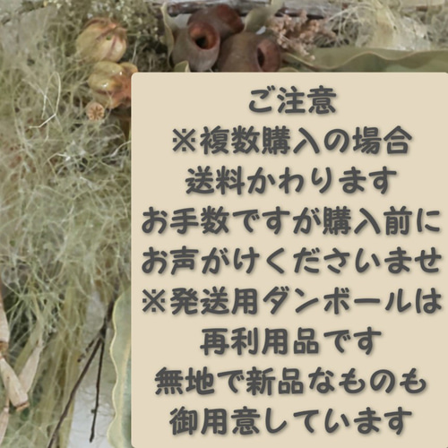 サルフレア&グレビレア ドライフラワーリース リース fu.wa.ran