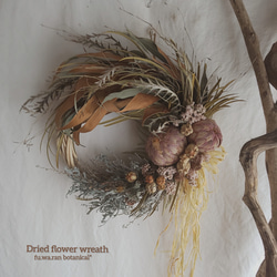 専用感謝sale＊大輪サルフレア＆グレビレア  　ドライフラワーリース サルフレア&グレビレア ドライフラワーリース リース fu.wa.ran