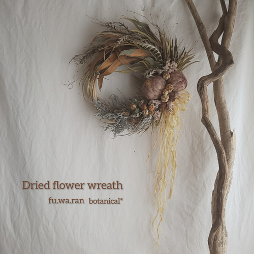 サルフレア&グレビレア ドライフラワーリース リース fu.wa.ran