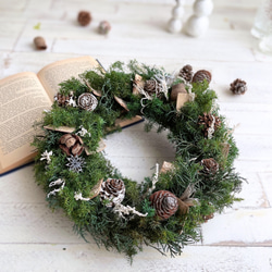 森の木の実のクリスマスリース＊プリザーブドフラワー 25センチ リース