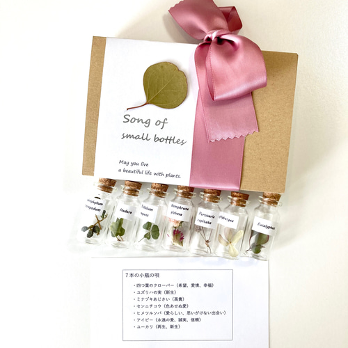 四つ葉のクローバー様専用】IVY REDミニボトル24本セット 四つ葉