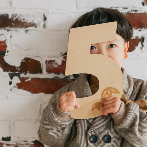 単品販売 木製 七五三 ビックナンバーバナー】七五三撮影 七五三参り