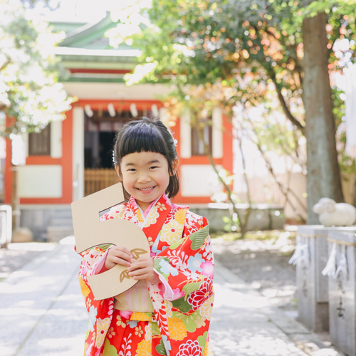 単品販売 木製 七五三 ビックナンバーバナー】七五三撮影 七五三参り