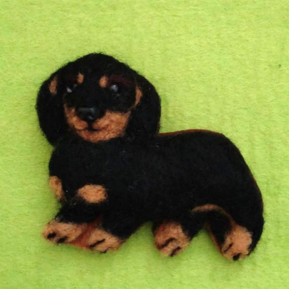 羊毛フェルト犬 ミニチュアダックスフンド ブローチ ブローチ かおち  