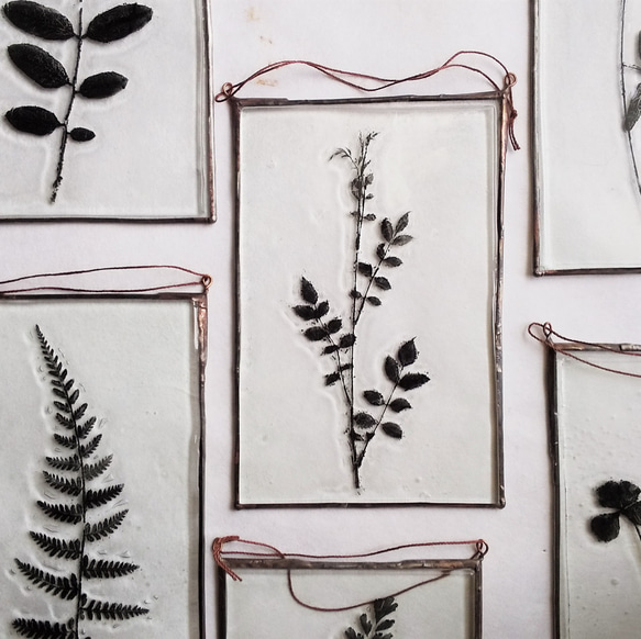 「Botanical Card/ノイバラ」　ガラス　植物標本　オーナメント 1枚目の画像