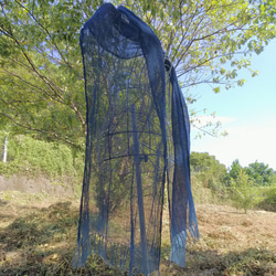 New　『藍生シリーズ』　オーガニックヘンプ（大麻）１００％　天然発酵藍染(伝統正藍染)　藍羽ストール 4枚目の画像