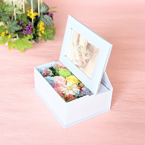 ペットのお供えフォトフラワーBOX・猫のお供え、犬のお供え、虹の橋