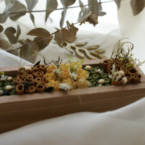 ドライフラワー 木の実BOX その他インテリア雑貨 alumachino 通販