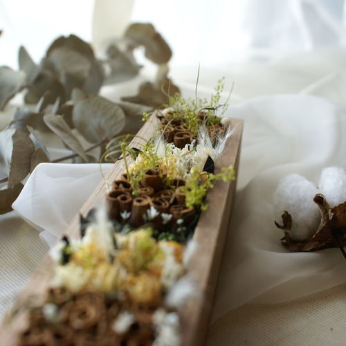 ドライフラワー 木の実BOX その他インテリア雑貨 alumachino 通販