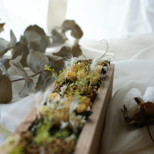 ドライフラワー 木の実BOX その他インテリア雑貨 alumachino 通販