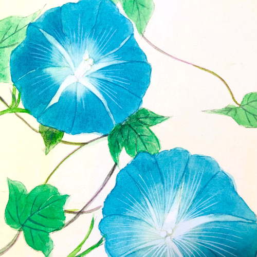 小さな日本画 朝顔シリーズ 色紙「夏の朝」原画 絵画 小さな日本