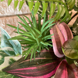 光触媒　人工観葉植物　ウォールグリーン　フェイク　フラワー　麻ペペロミア 9枚目の画像