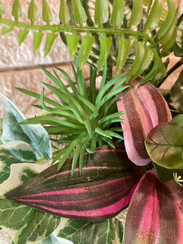 光触媒　人工観葉植物　ウォールグリーン　フェイク　フラワー　麻ペペロミア 9枚目の画像