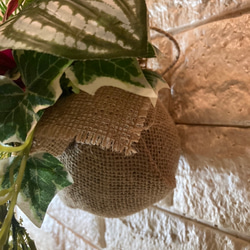 光触媒　人工観葉植物　ウォールグリーン　フェイク　フラワー　麻ペペロミア 11枚目の画像