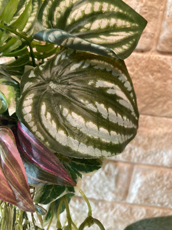 光触媒　人工観葉植物　ウォールグリーン　フェイク　フラワー　麻ペペロミア 8枚目の画像