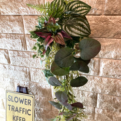 光触媒　人工観葉植物　ウォールグリーン　フェイク　フラワー　麻ペペロミア 7枚目の画像