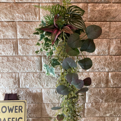 光触媒　人工観葉植物　ウォールグリーン　フェイク　フラワー　麻ペペロミア 6枚目の画像