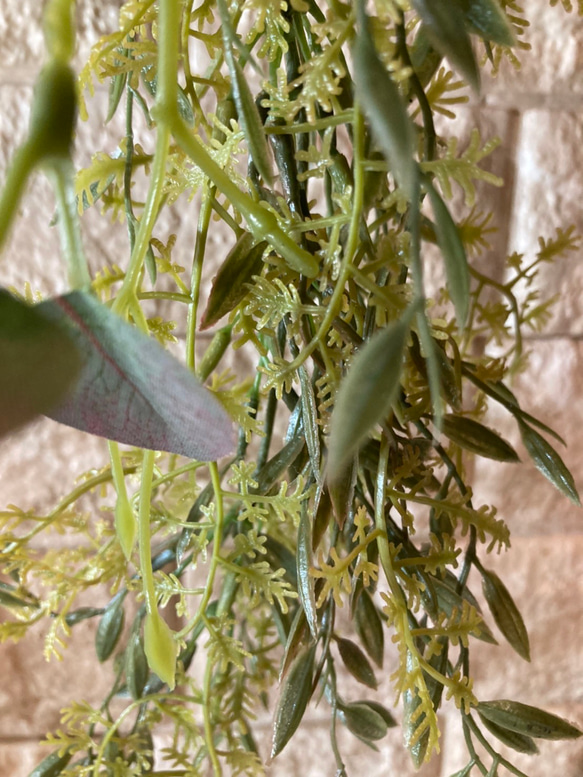 光触媒　人工観葉植物　ウォールグリーン　フェイク　フラワー　麻ペペロミア 10枚目の画像