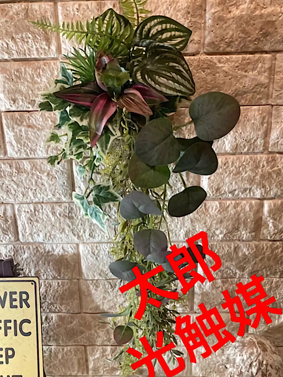 光触媒　人工観葉植物　ウォールグリーン　フェイク　フラワー　麻ペペロミア 3枚目の画像