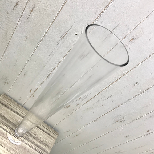 幸運竹 ミリオンバンブー スパイラルバンブー用 花瓶 ガラス グラス型