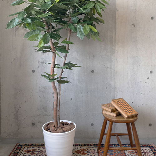 光触媒　人工観葉植物　ウォールグリーン　フェイク　フラワー　コーヒーの木ポット 光触媒 人工観葉植物 ウォールグリーン フェイク フラワー