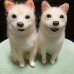 うちの子オーダー オーダー見本 羊毛フェルト柴犬 羊毛フェルト
