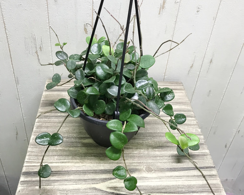 2a1d7588f4ee72f6d0ab470ca11661