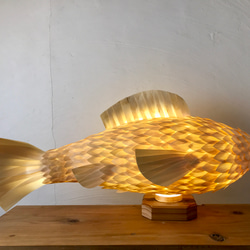 night fish （大） 10枚目の画像
