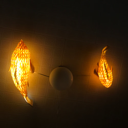 night fish （大） 2枚目の画像