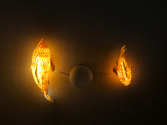 night fish （大） 2枚目の画像