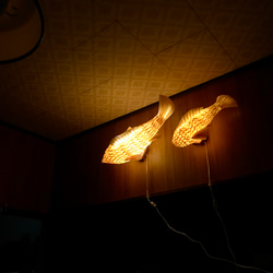 night fish （大） 4枚目の画像