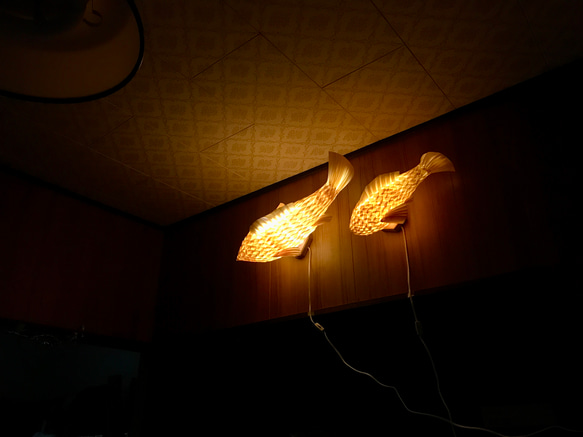 night fish （大） 4枚目の画像