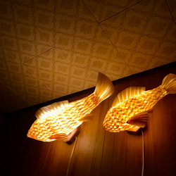 night fish （大） 3枚目の画像