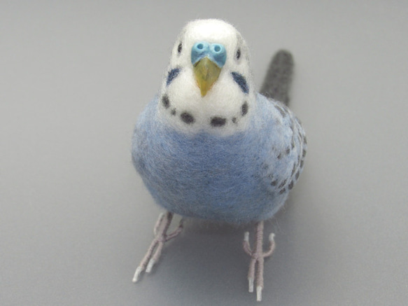 [オーダー品] セキセイインコ バイオレットオパーリン / 羊毛フェルト リアルサイズ 4枚目の画像