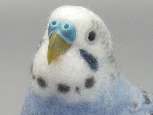 むう | 動物クリエーター | オーダーのセキセイインコちゃんです