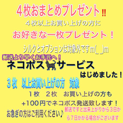 S&SS おしゃれ♡シースルー⭐︎裏地で変わるコットンオーガンジー♡呼吸しやすい舟形　ノーズワイヤー&アジャスター付 19枚目の画像