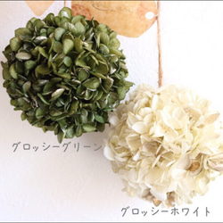 雑誌掲載‼︎〜小さく咲いたアジサイたち〜 6枚目の画像