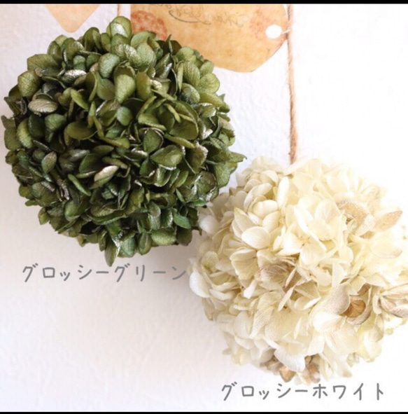 雑誌掲載‼︎〜小さく咲いたアジサイたち〜 6枚目の画像