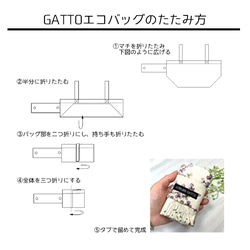  第9張的照片